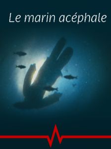 Le Marin Acéphale