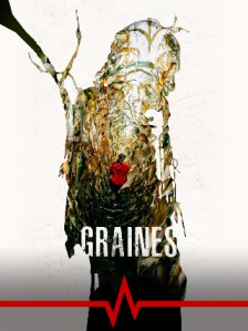 Graines